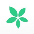 TimeTree时间树app下载