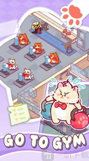 猫咪健身房游戏无广告下载
