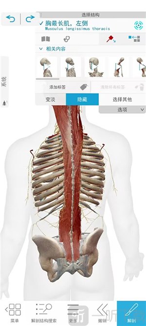 Atlas软件下载安装