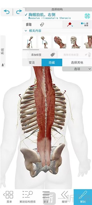 Atlas软件下载安装