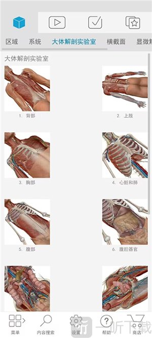 Atlas软件下载安装