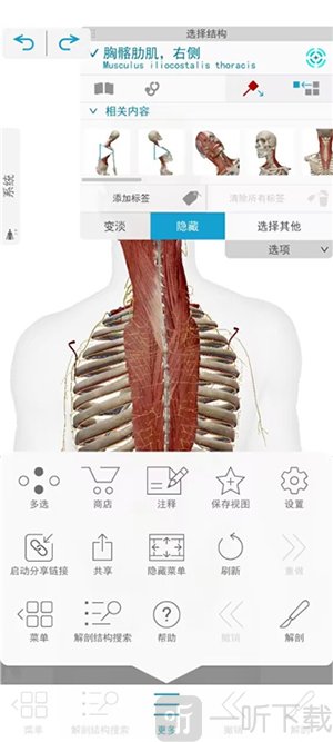 Atlas软件下载安装