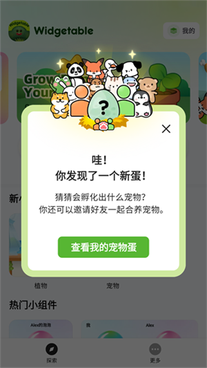 widgetable宠物下载