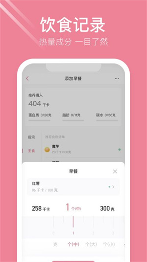 体重小本无闪退版免费下载