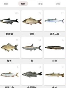 渔获手机版下载安装