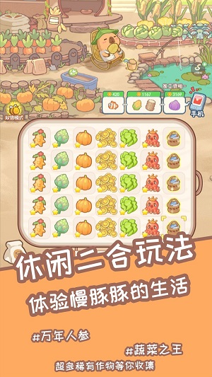 慢豚豚的生活解锁电玩城版下载