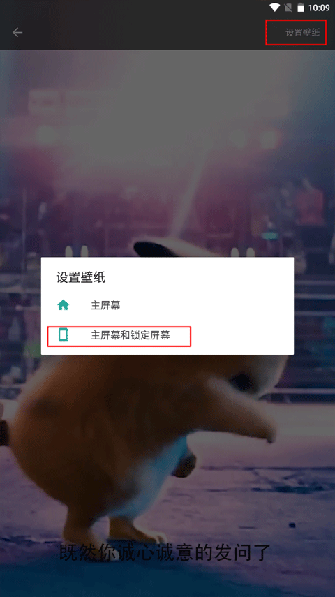 皮皮壁纸最新免费版下载安装