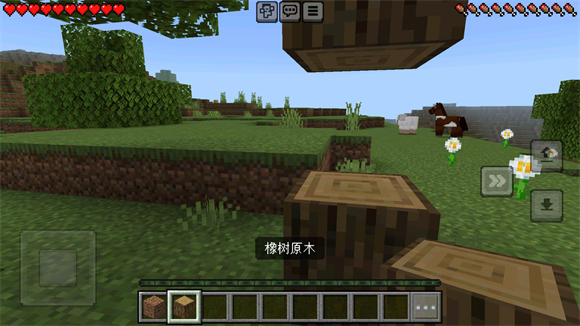 Minecraft我的世界国际版2025正版