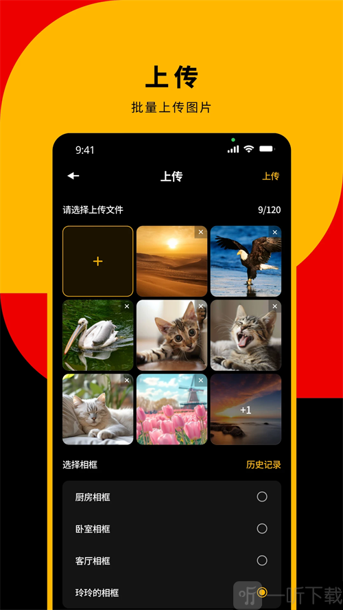 KODAK Smart Frame下载最新版