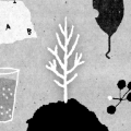 hertrees手机版下载