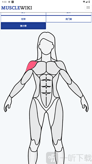 MuscleWiki中文版app下载