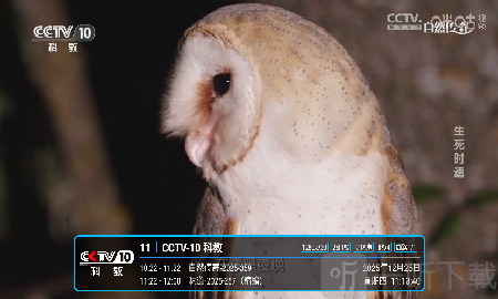 酷9TV直播最新版本下载
