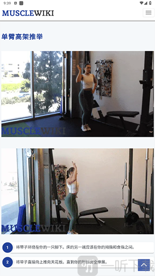 MuscleWiki中文版app下载