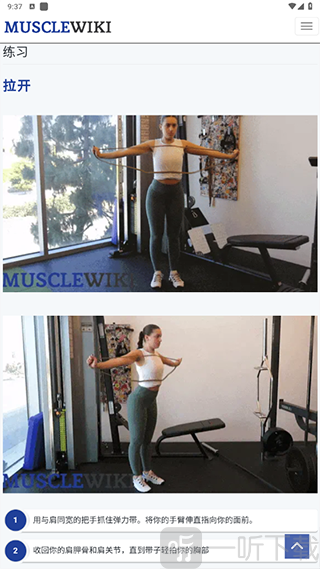 MuscleWiki中文版app下载
