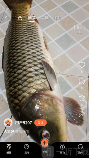 小红鱼ai智钓软件下载