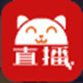 红猫影视TV软件下载