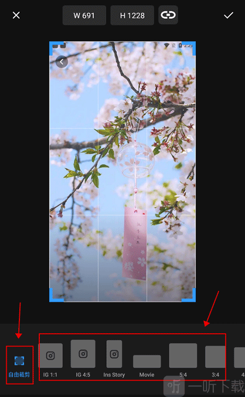 专业照片编辑器Polish版安卓版免费版下载