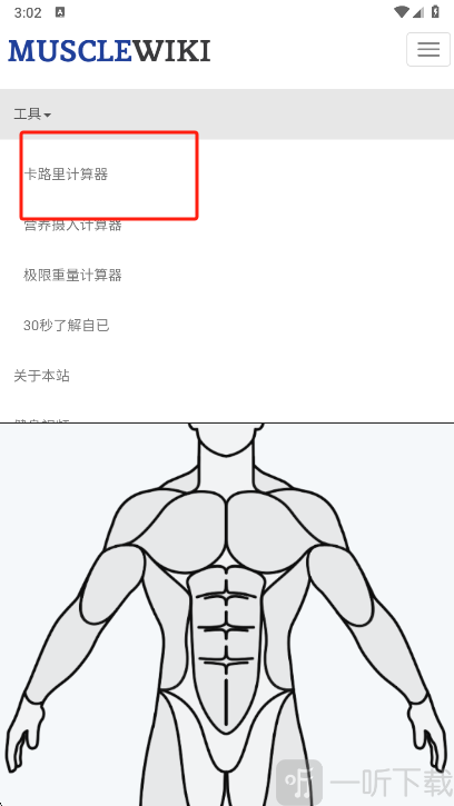 Muscle Wiki手机版软件下载