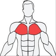 Muscle Wiki手机版软件下载