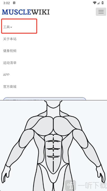 Muscle Wiki手机版软件下载