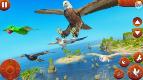 鸟类模拟器游戏下载