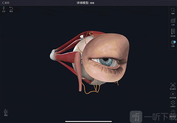 Complete Anatomy中文版免费下载