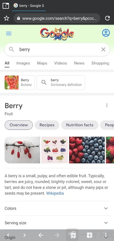 Berry浏览器app下载