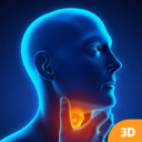 数字人解剖学STEM系统app下载