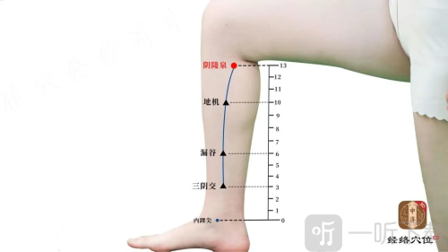 知源经络穴位app下载