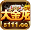 大金龙s222cc下载