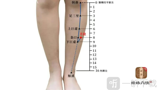 知源经络穴位app下载